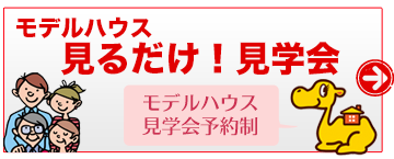 見るだけ見学会